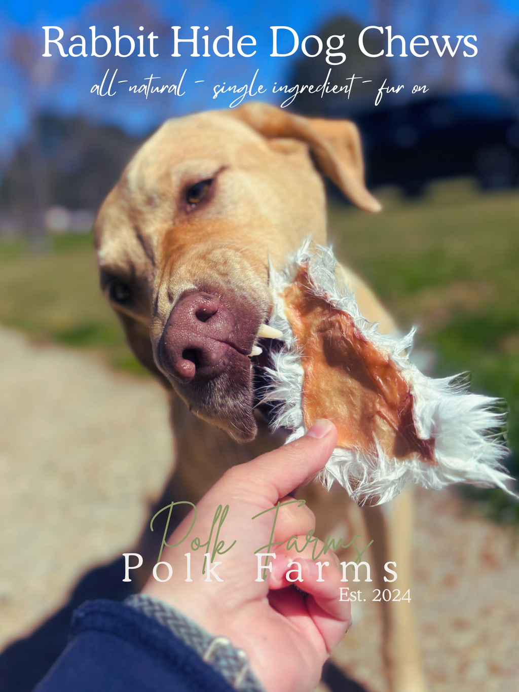 All-Natural Rabbit Hide Dog Chews