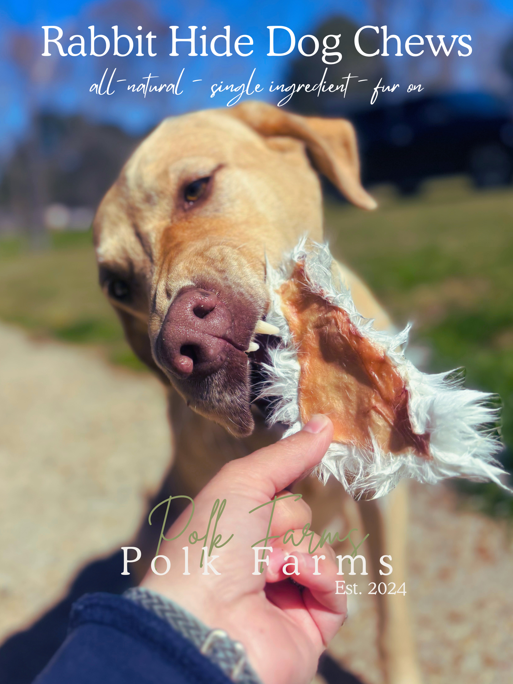 All-Natural Rabbit Hide Dog Chews