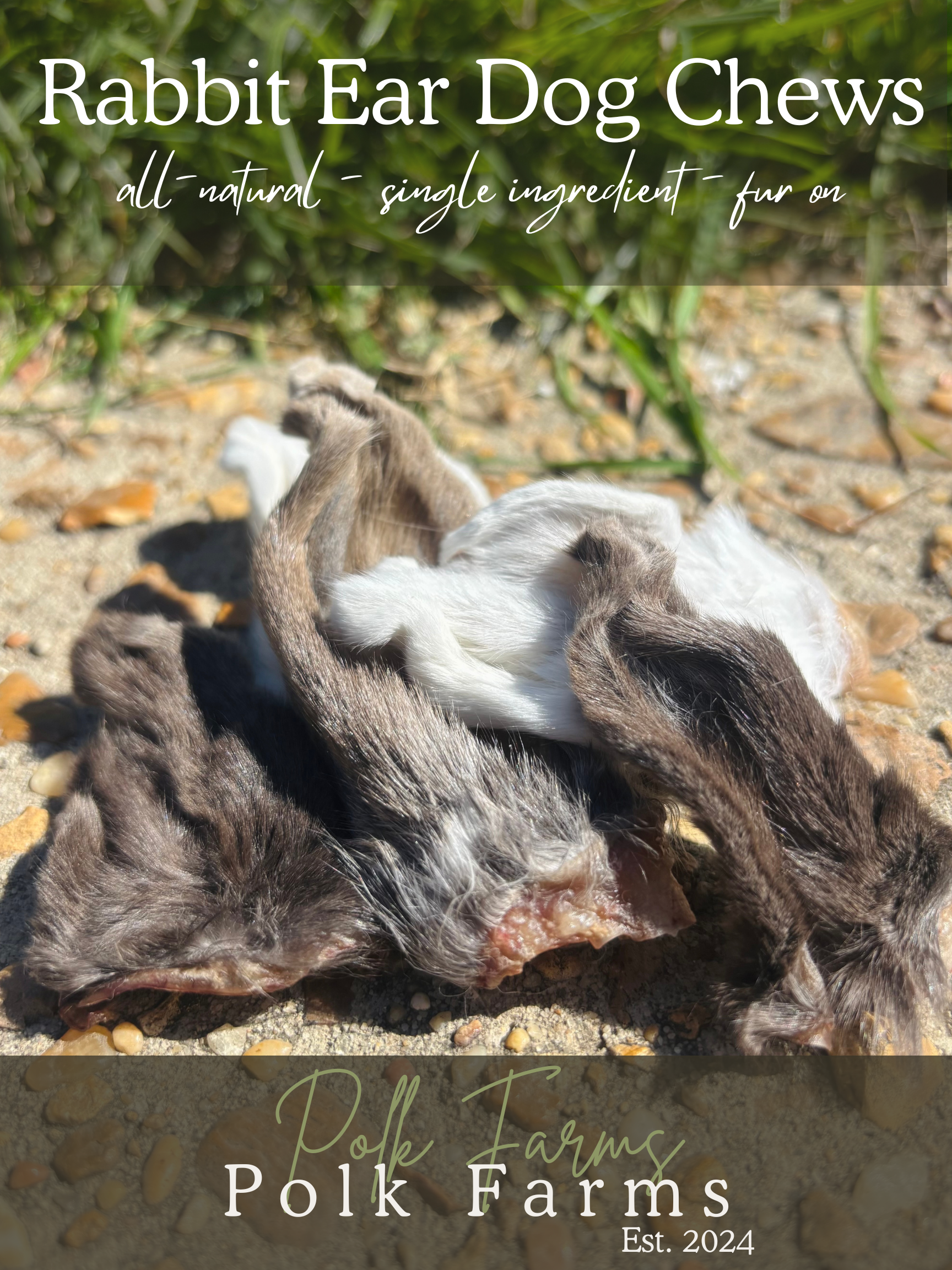 All-Natural Rabbit Ear Dog Chews